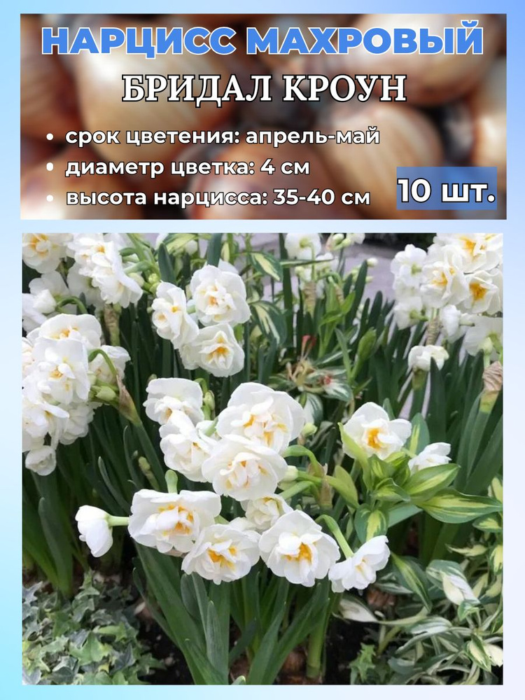 Magic Blooming Garden Луковицы,0.15кг #1