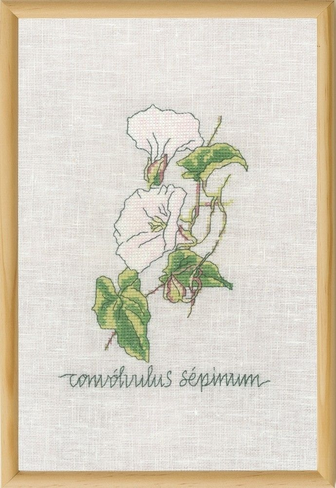 Набор для вышивания Permin #70-1832 Calystegia (Калистегия), Счетный крест, 20 x 30 см  #1