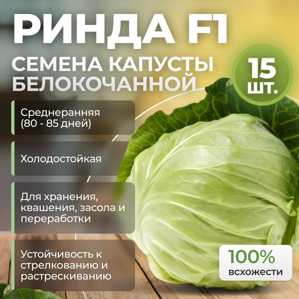 РИНДА F1 семена капусты белокочанной, 15 шт. (Seminis / ALEXAGRO). Высокоурожайный, среднеранний гибрид #1