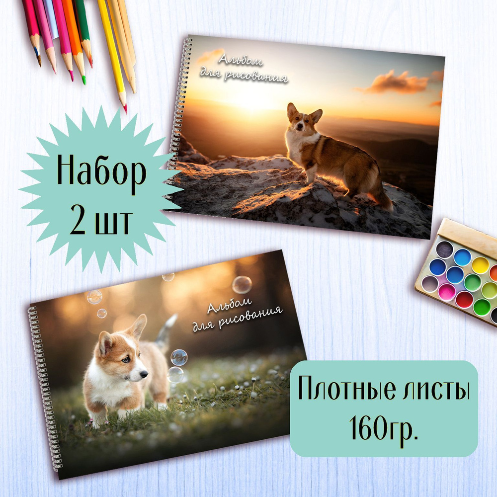 Альбомы для рисования Корги #1