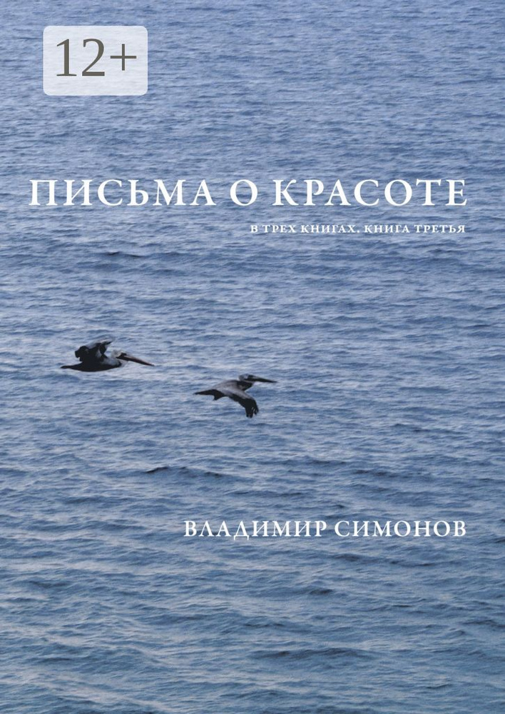 Письма о Красоте. В трех книгах. Книга третья | Симонов Владимир #1