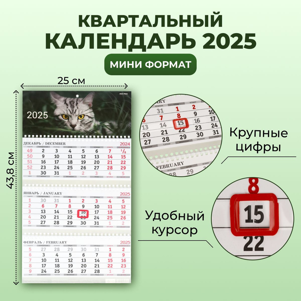 Календарь 2025 квартальный мини #1