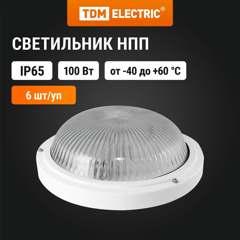 Светильник НПП 03-100-002 (металл, стекло) IP65 TDM (упак. 6 шт.) #1