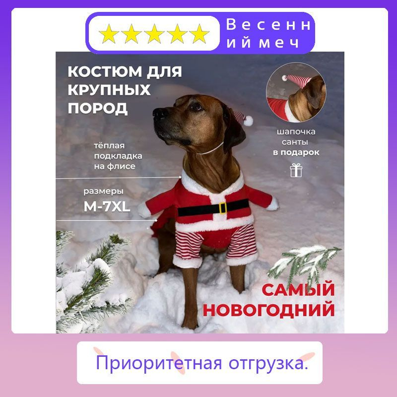 Одежда для животных #1