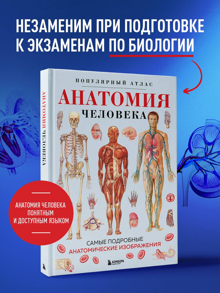 Анатомия человека. Популярный атлас. Самые подробные анатомические изображения #1