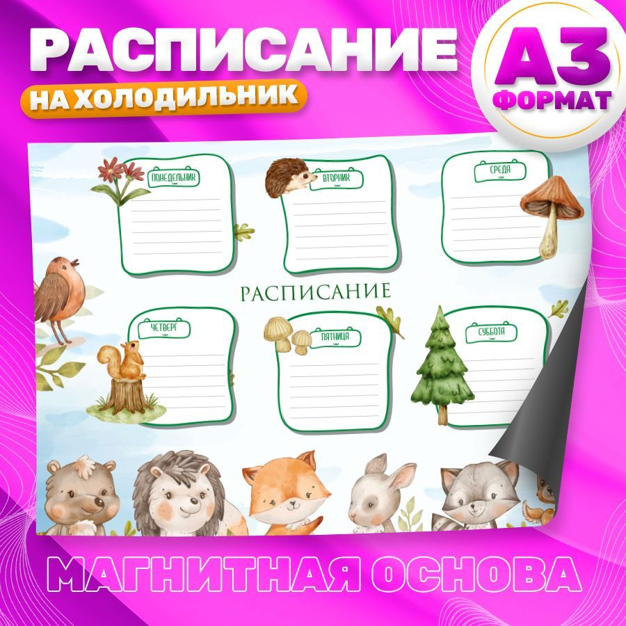 Магнитный планер, на холодильник, Расписание занятий, А3  #1