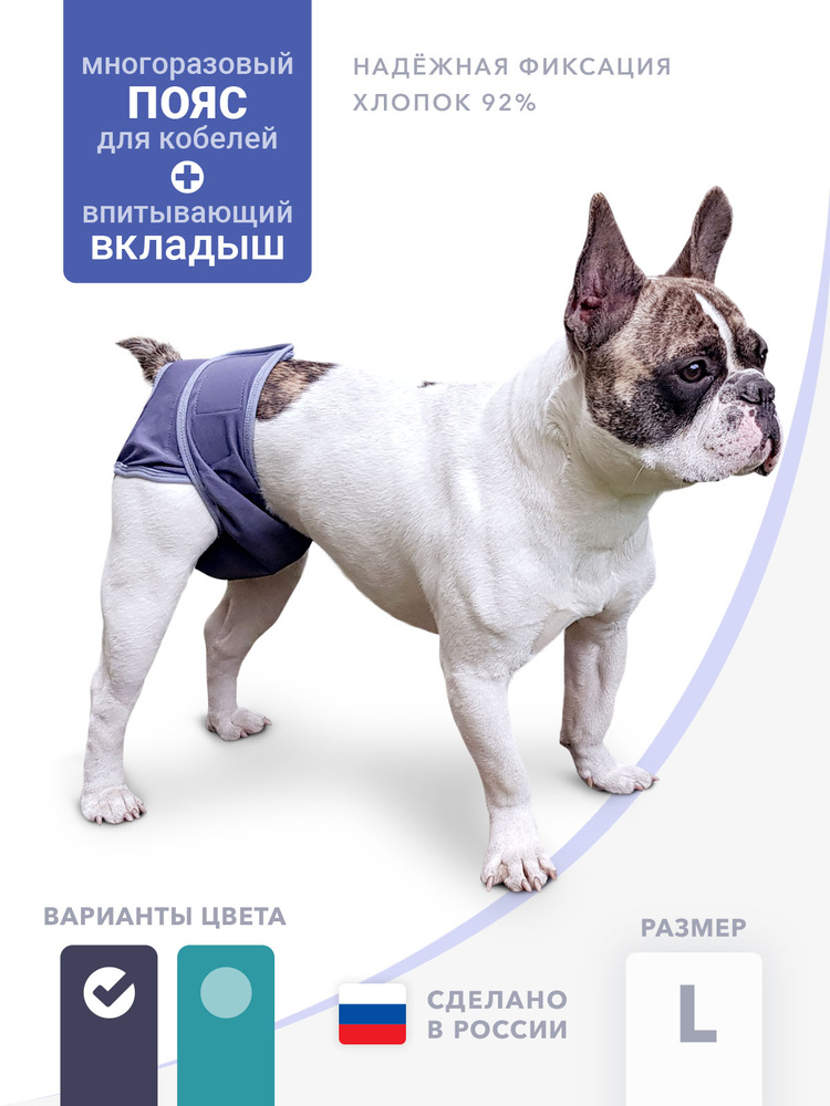 Пояс для собак кобелей многоразовый , впитывающий Зевс / трусы для собаки /в комплекте вкладыш, L #1
