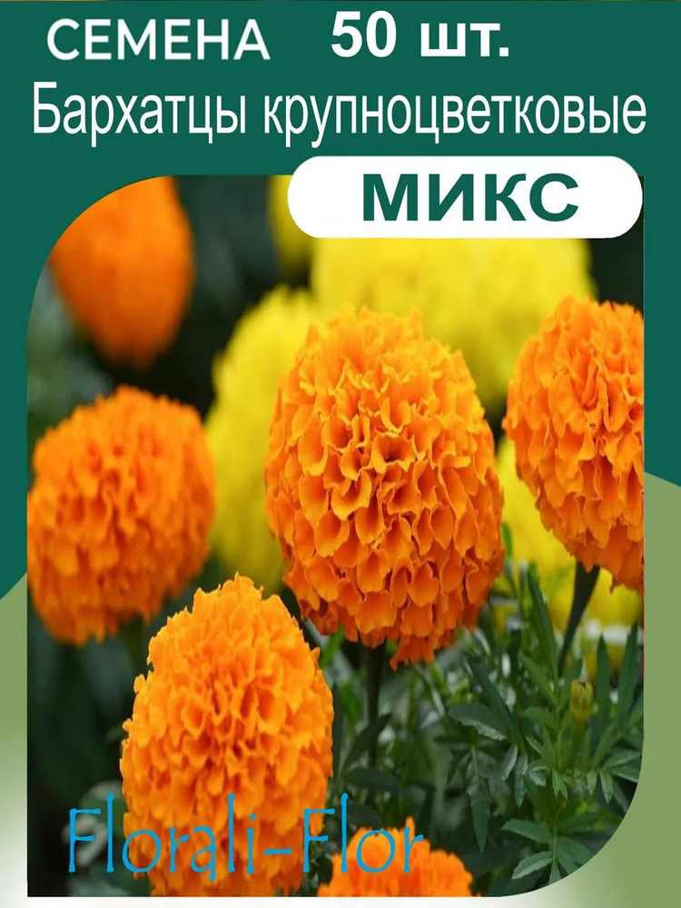 Бархатцы прямостоящие семена #1