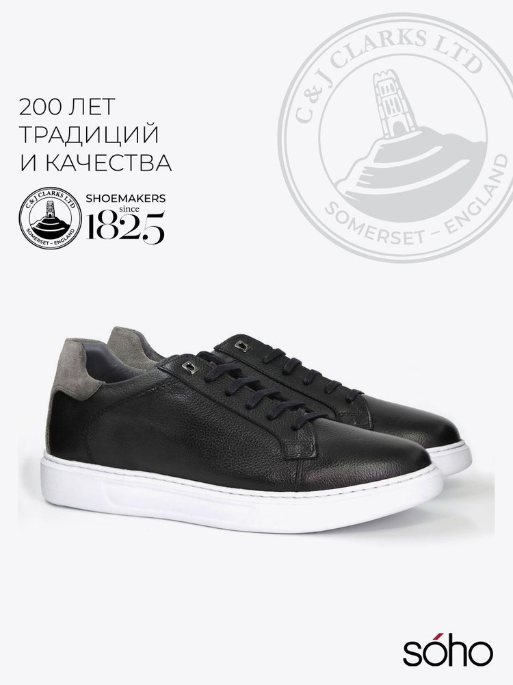 Кеды Clarks #1