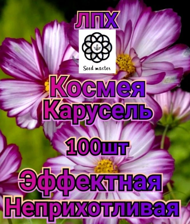 Семена ,100шт #1