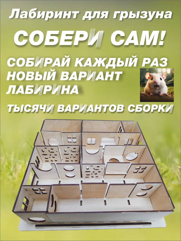 Лабиринт для хомяка #1