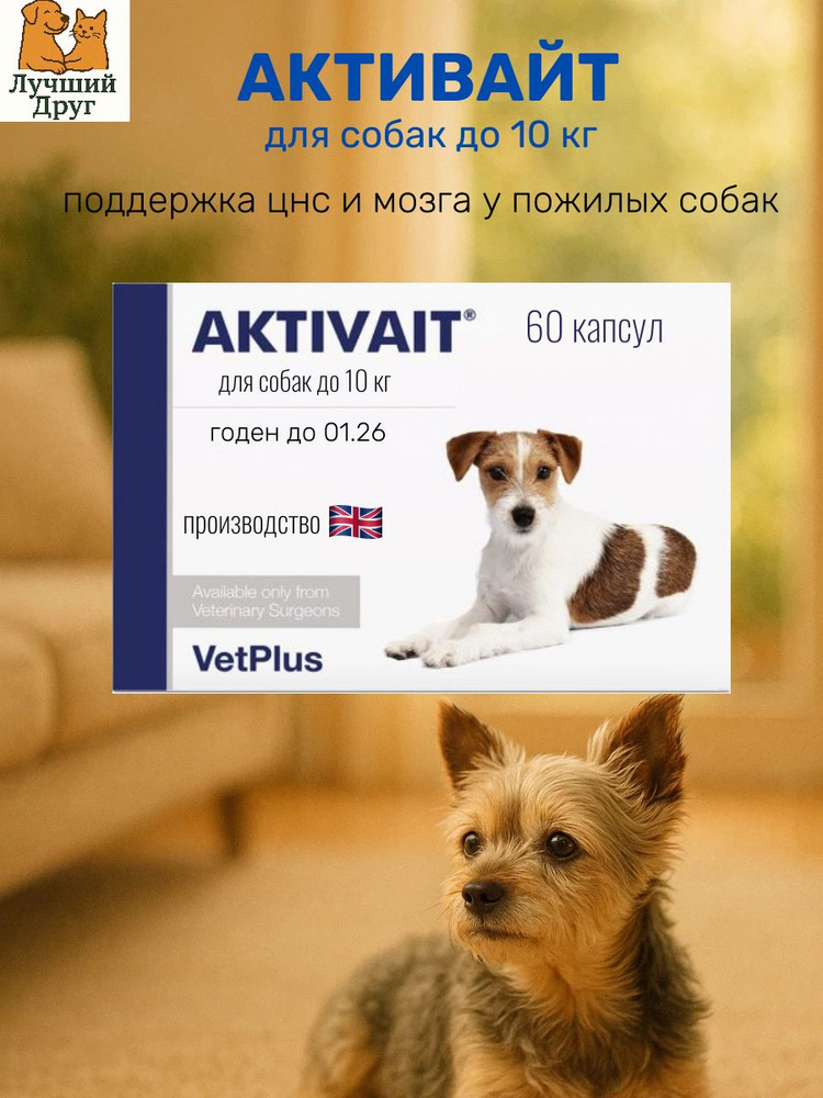 Aktivait для собак до 10 кг для поддержки когнитивных функций, 60