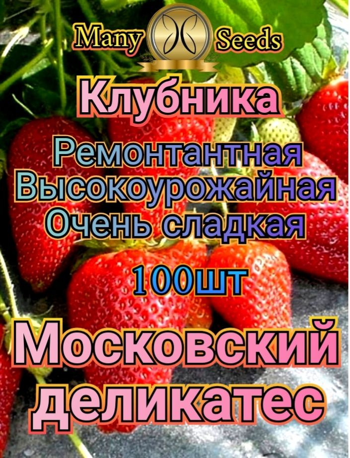 Семена ,100шт #1