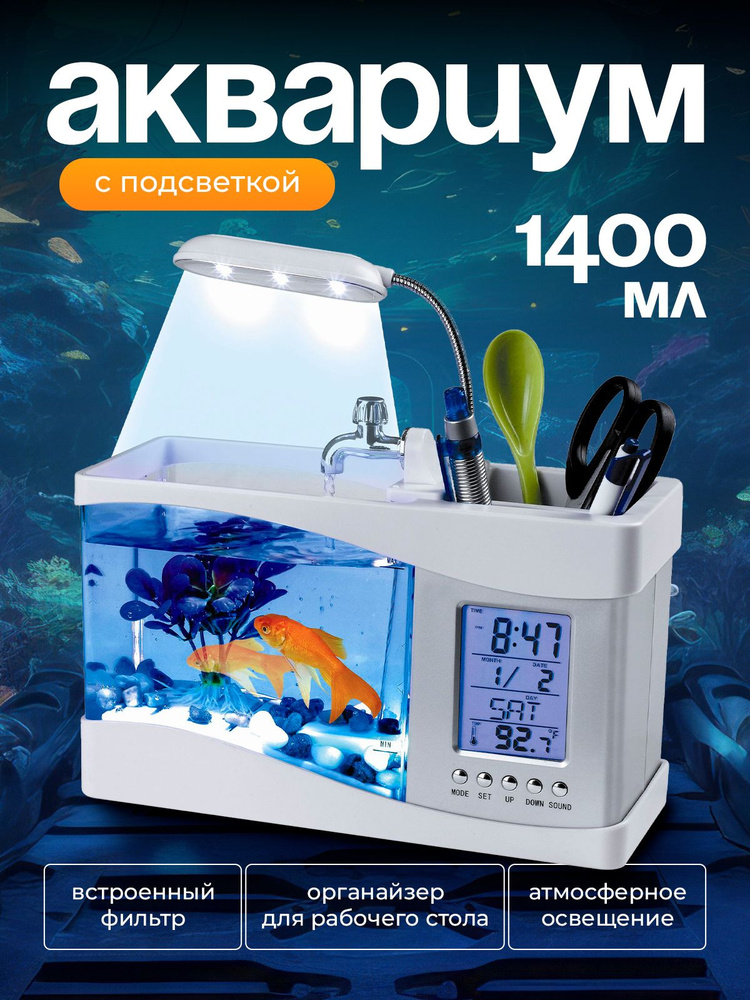 Аквариум #1