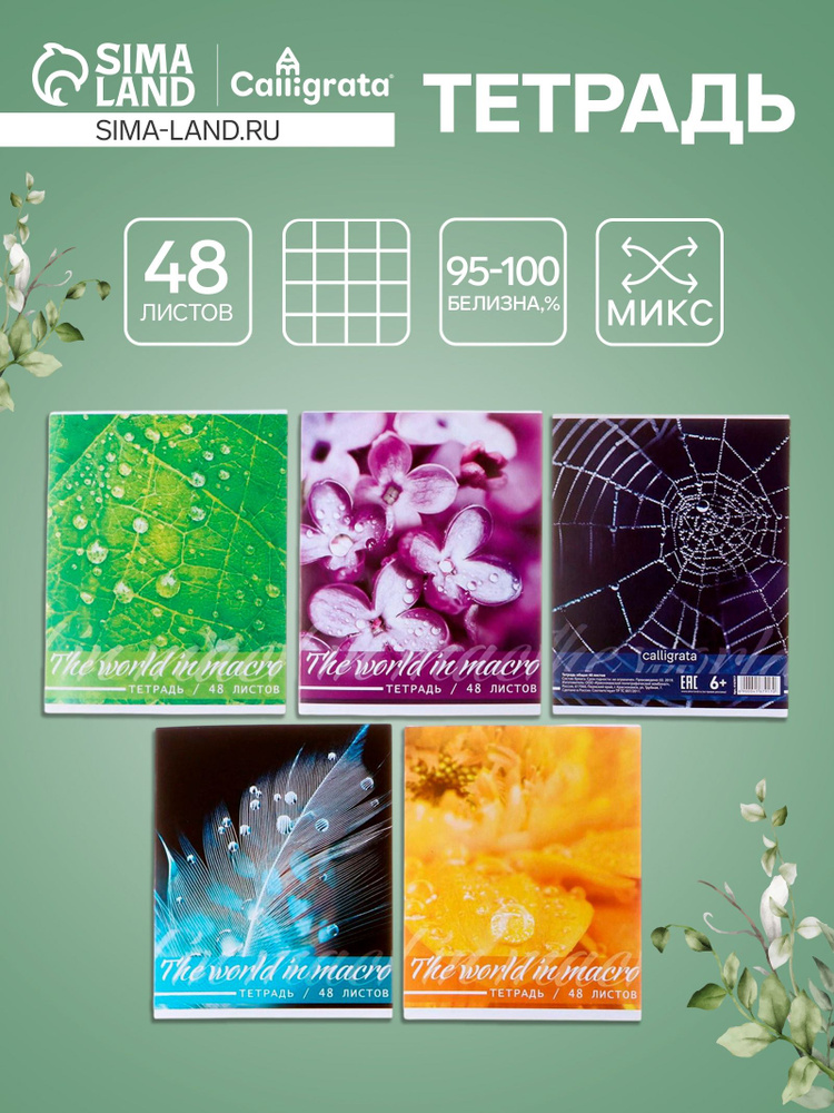 Тетрадь 48 листов в клетку, Calligrata Микромир #1