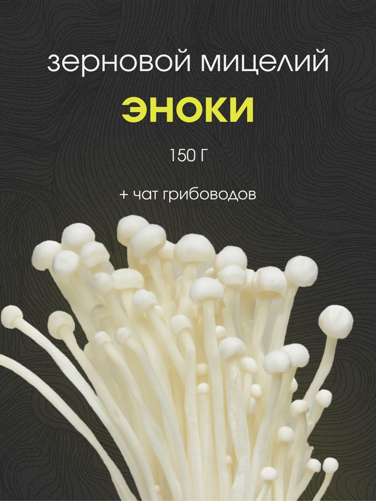 Мицелий эноки. Семена грибов. #1