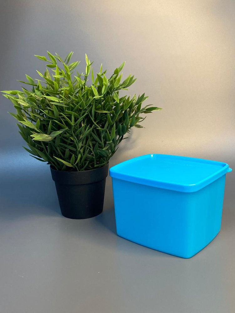 Контейнер Tupperware 800 мл #1