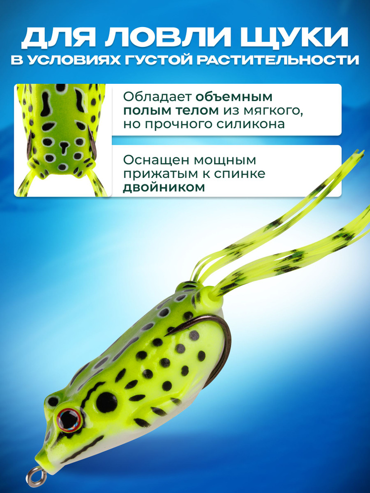 Поппер #1