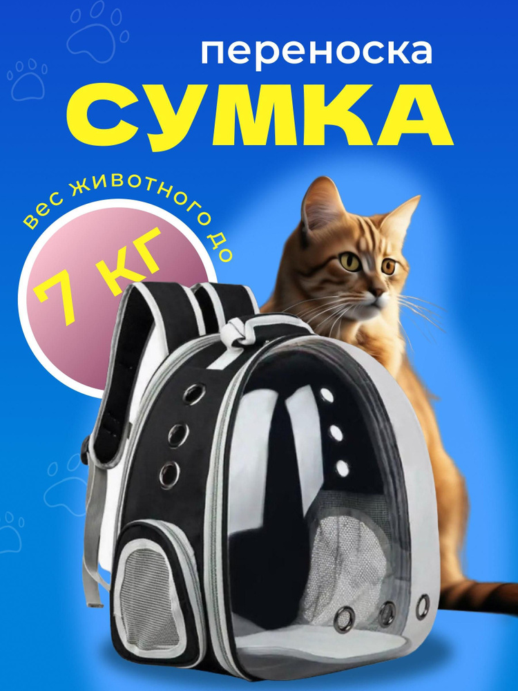 Переноска #1