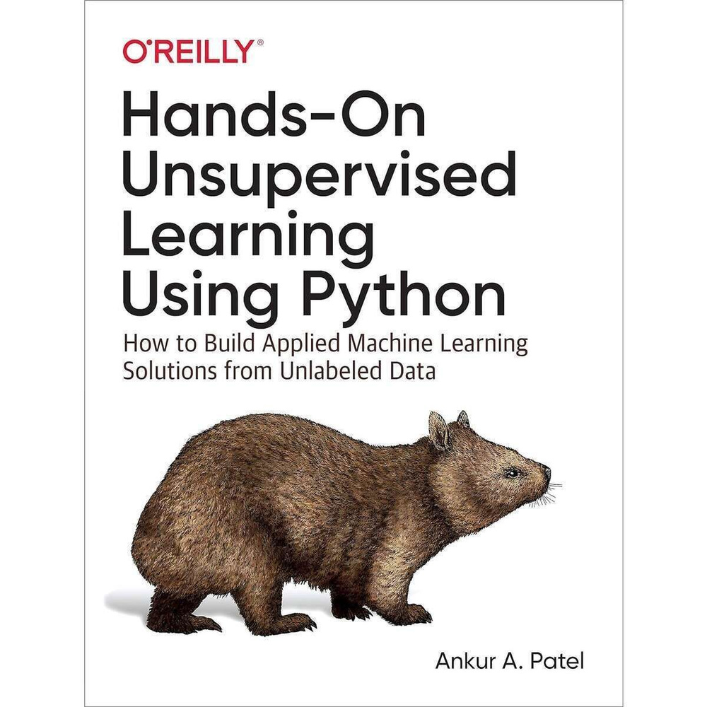 Hands-On Unsupervised Learning Using Python / Бумажная книга #1
