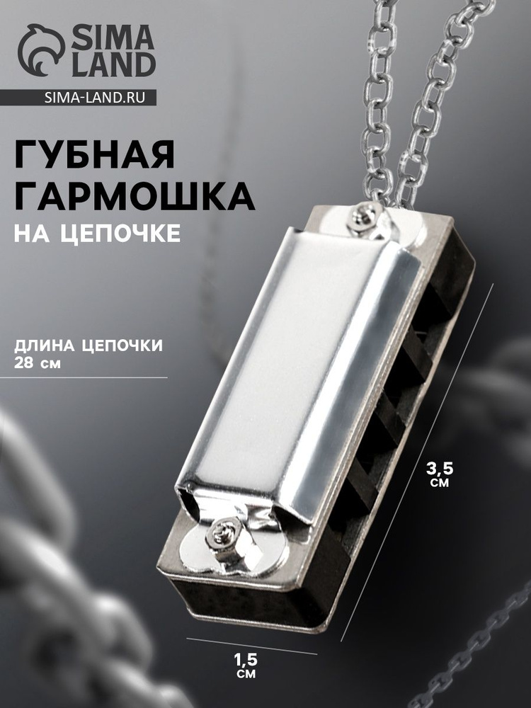 Губная гармошка Music Life4 отверстия, 8 тонов, 3,5х1,5х1см, цепь 28см, серебристая #1