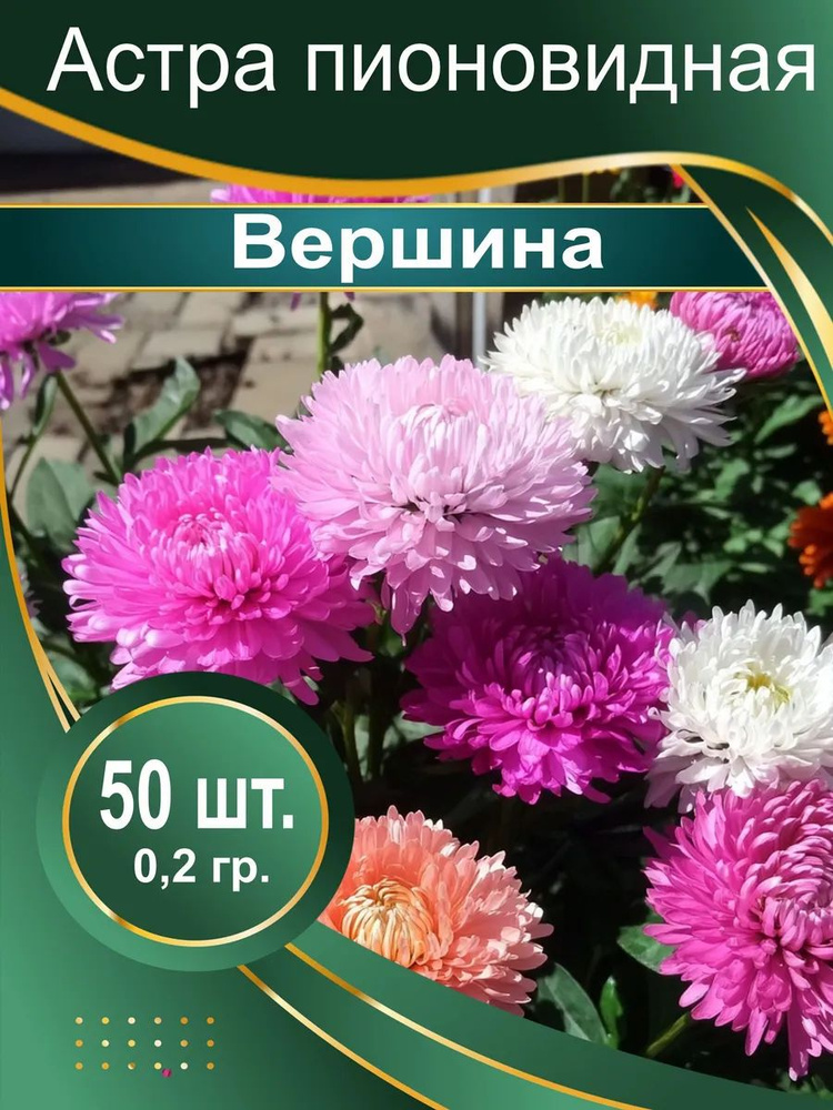 Семена #1