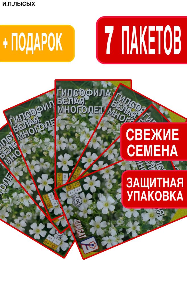 Семена Гипсофила "Белая" #1