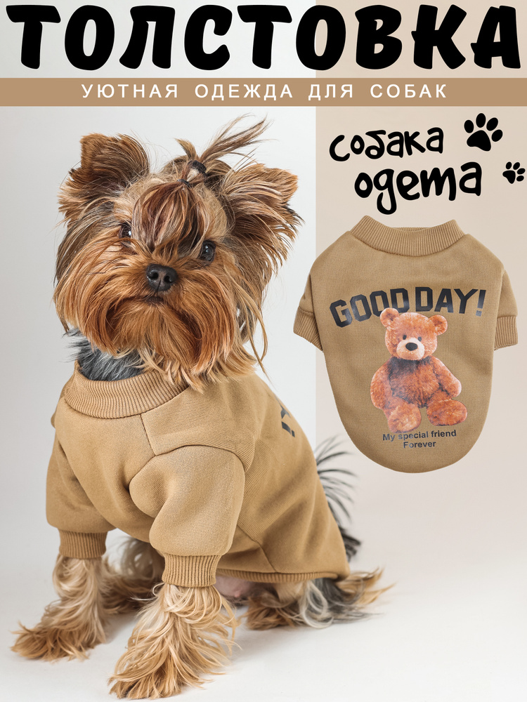 Одежда для животных #1