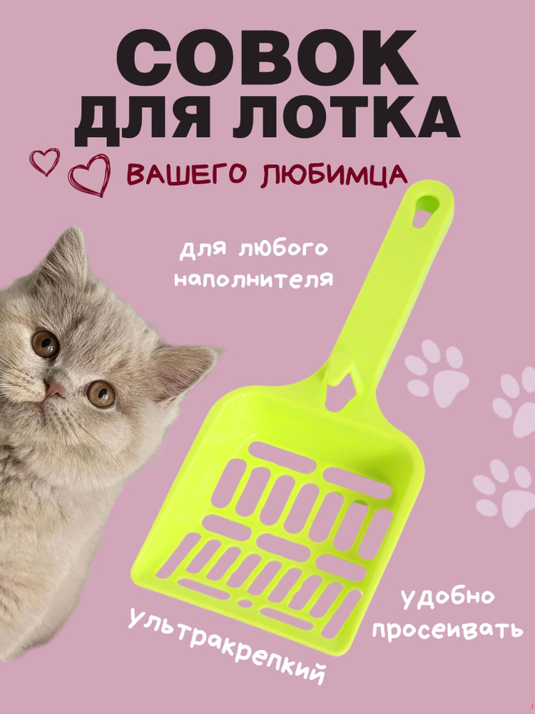 Совок для туалета #1
