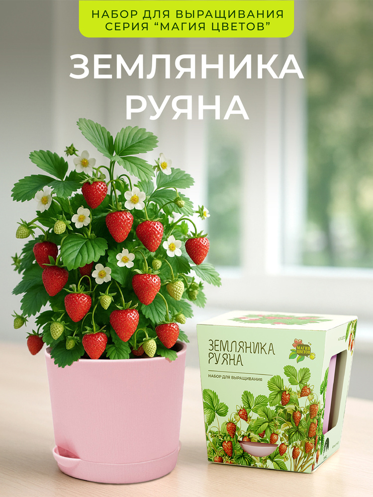 Земляника Руяна Набор для выращивания растений #1
