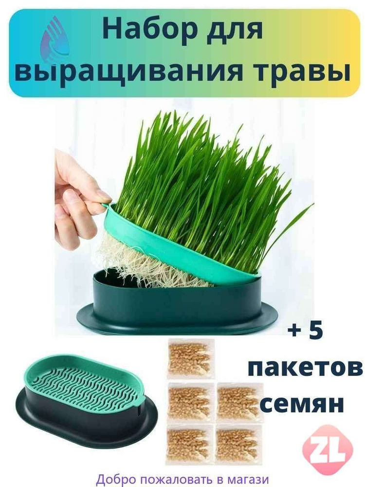 Гроубокс #1