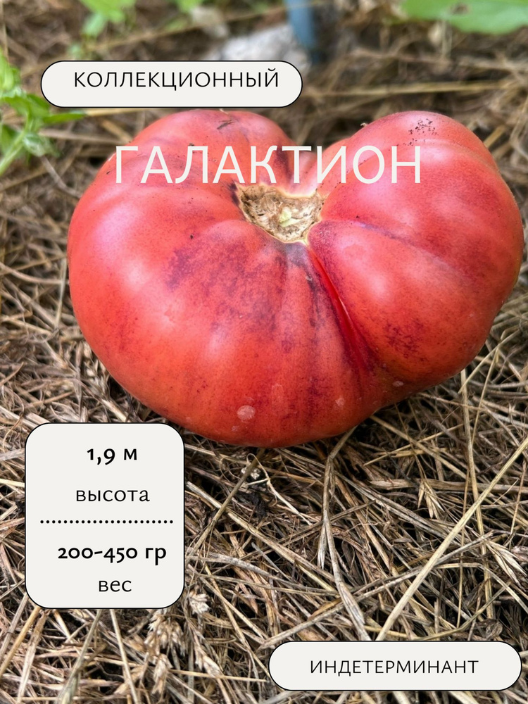 Семена #1