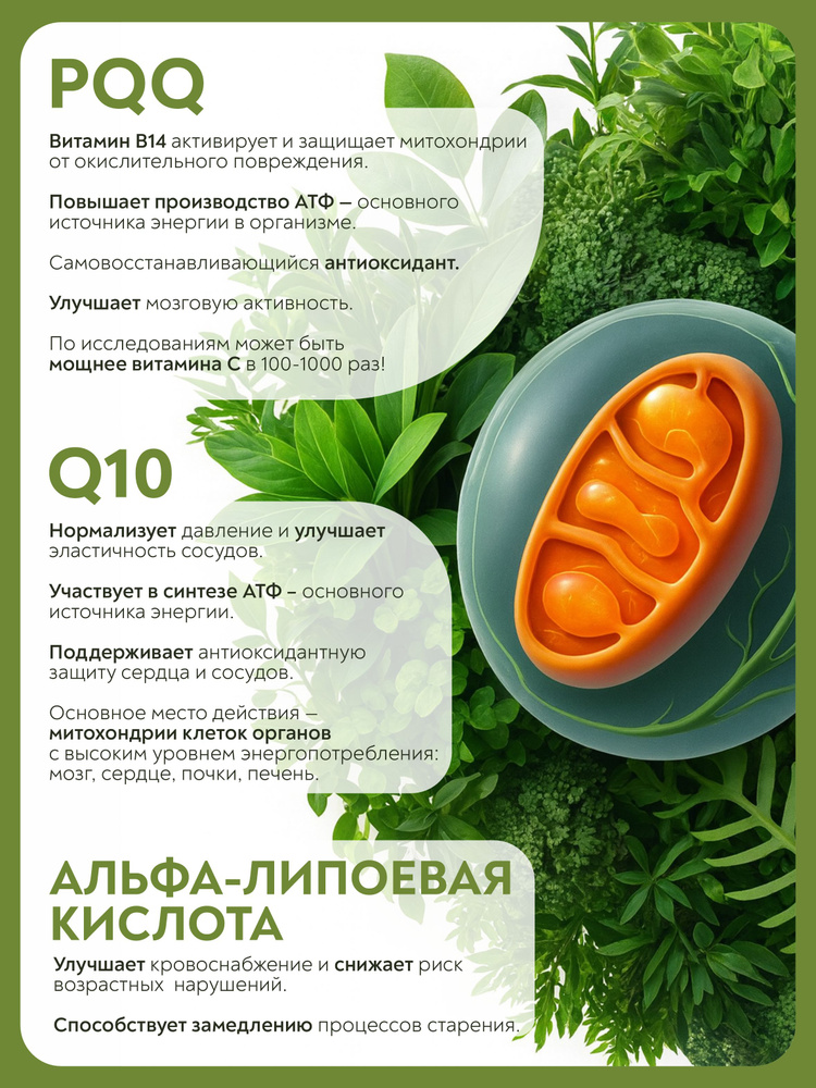 Витамины #1