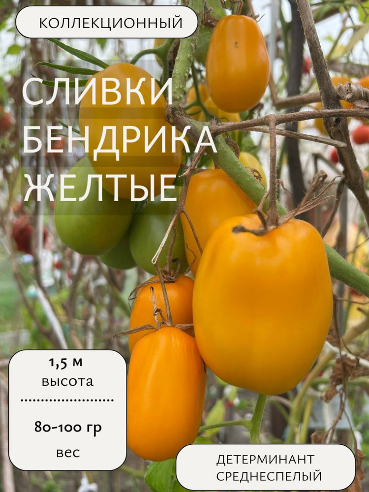 Семена #1