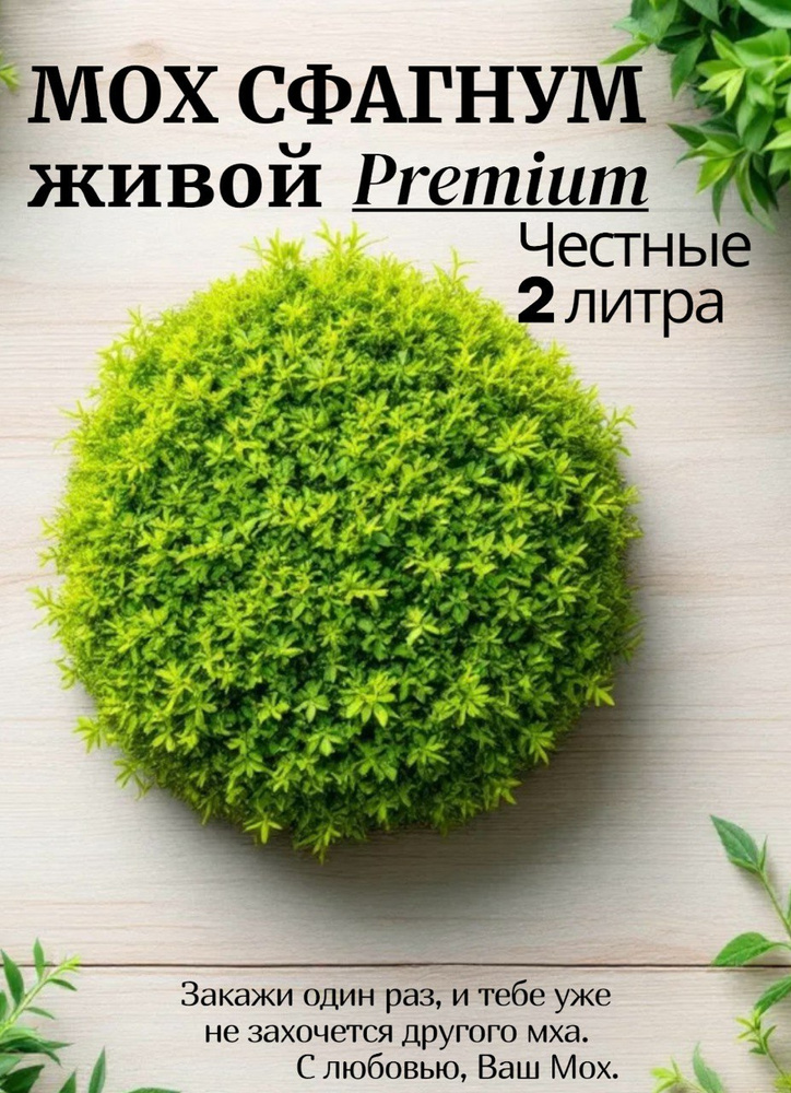 Мох #1