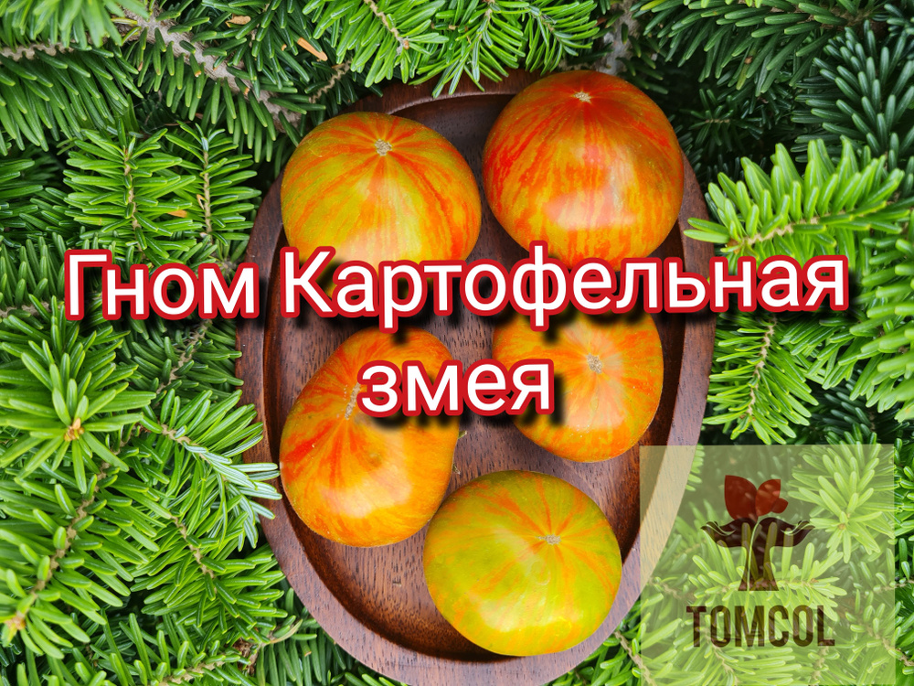 Семена #1