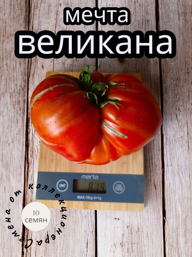 Семена ,10шт #1