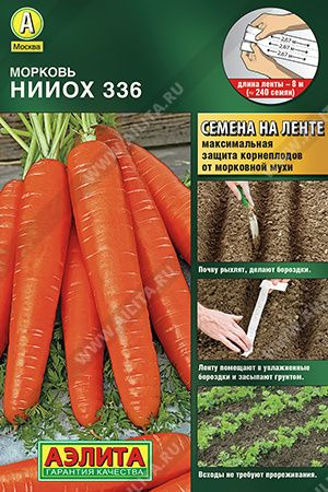 Морковь НИИОХ 336 семена на ленте - 8 метров (240 семян) #1