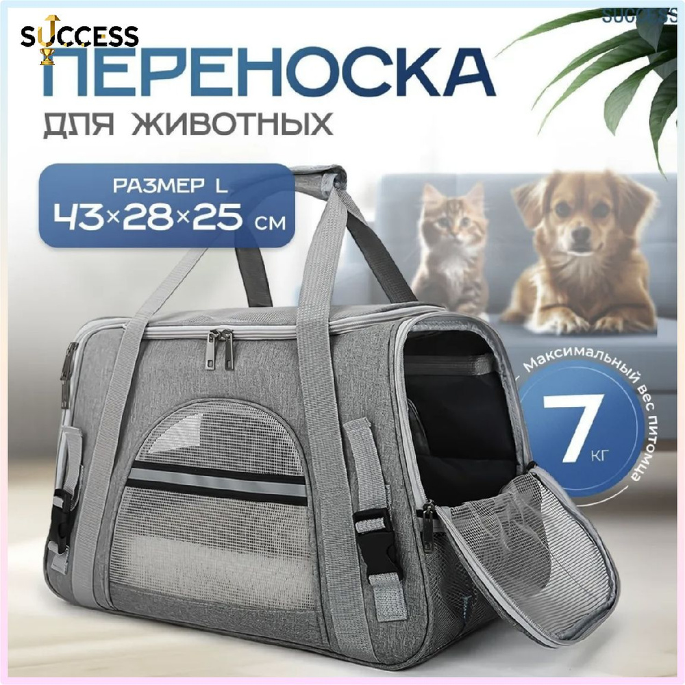 Переноска #1