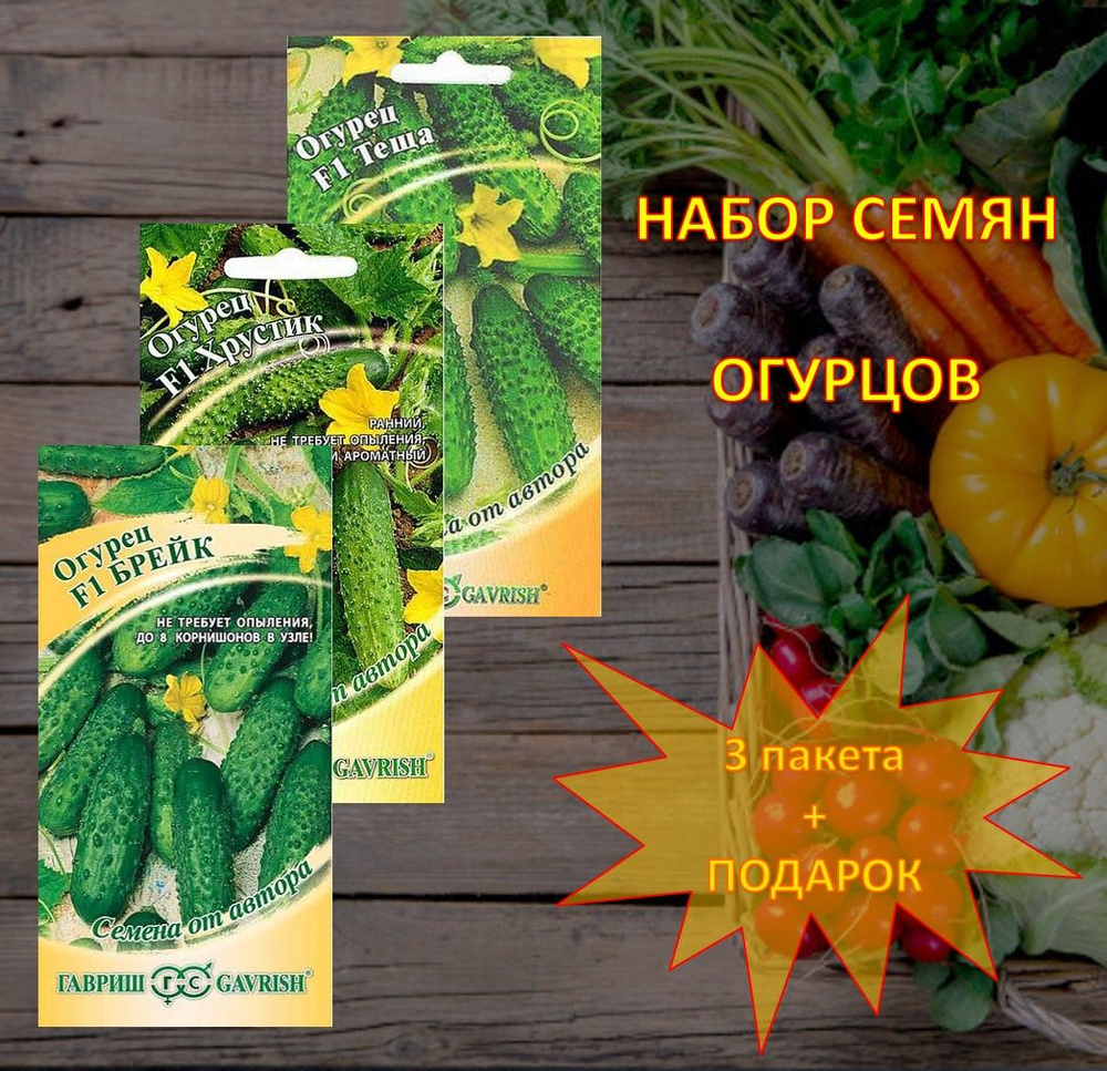 Гавриш Семена #1