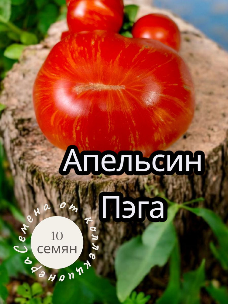 Семена ,10шт #1