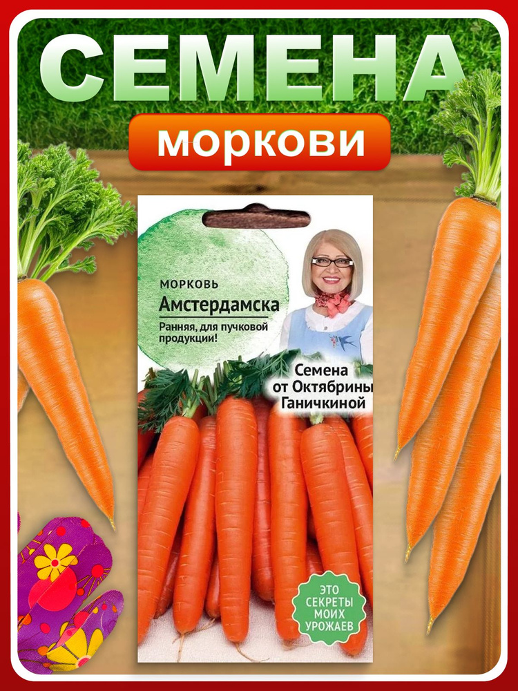 Семена Морковь ранняя "Амстердамска" 2 г для огорода, в грунт / Овощи #1