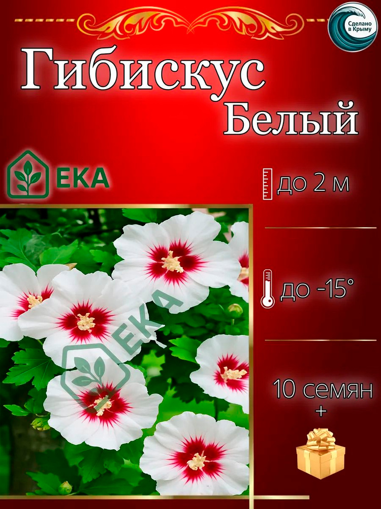 Семена ,10шт #1