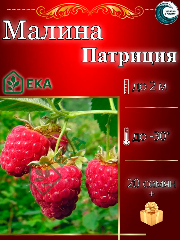 Семена ,20шт #1