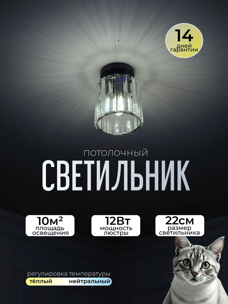 Люстра потолочная #1