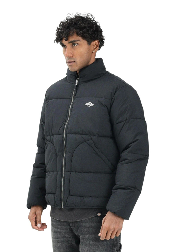 Куртка Dickies #1