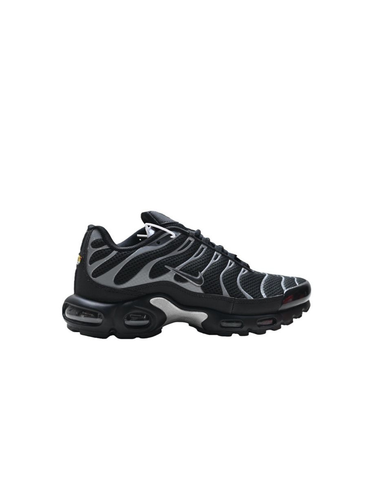 Кроссовки Air Max Plus #1