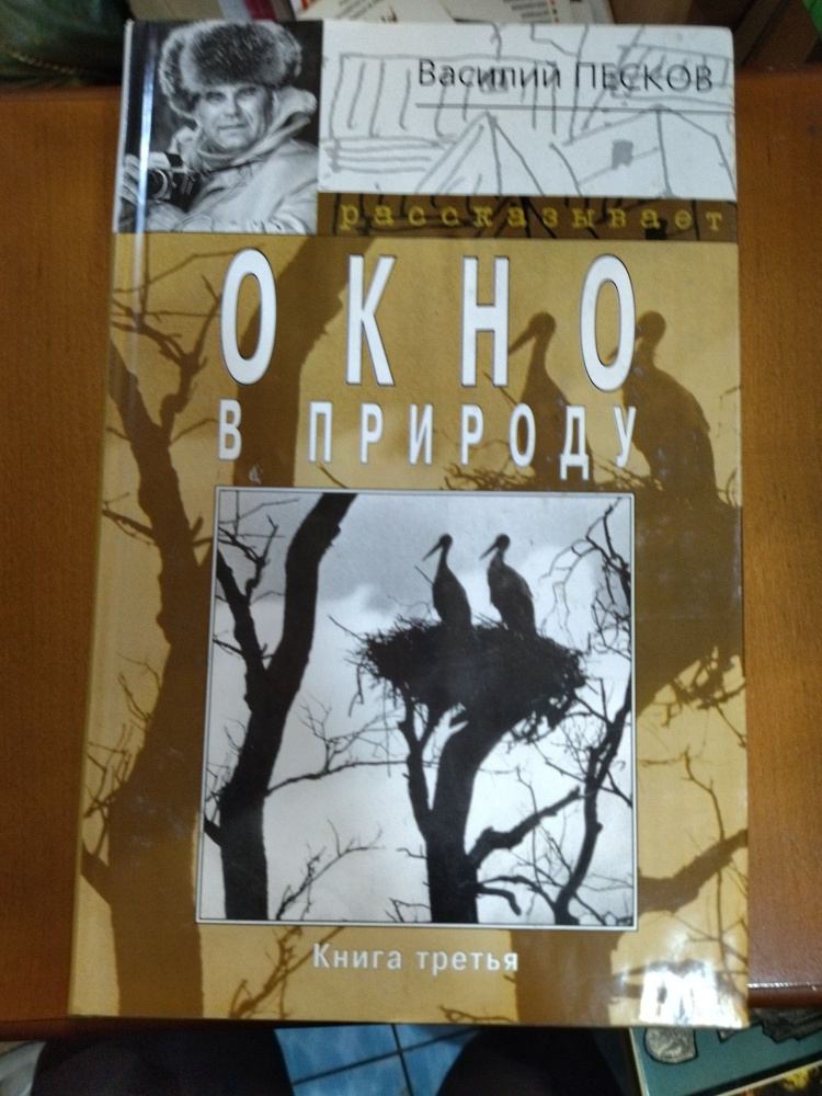 Окно в природу #1