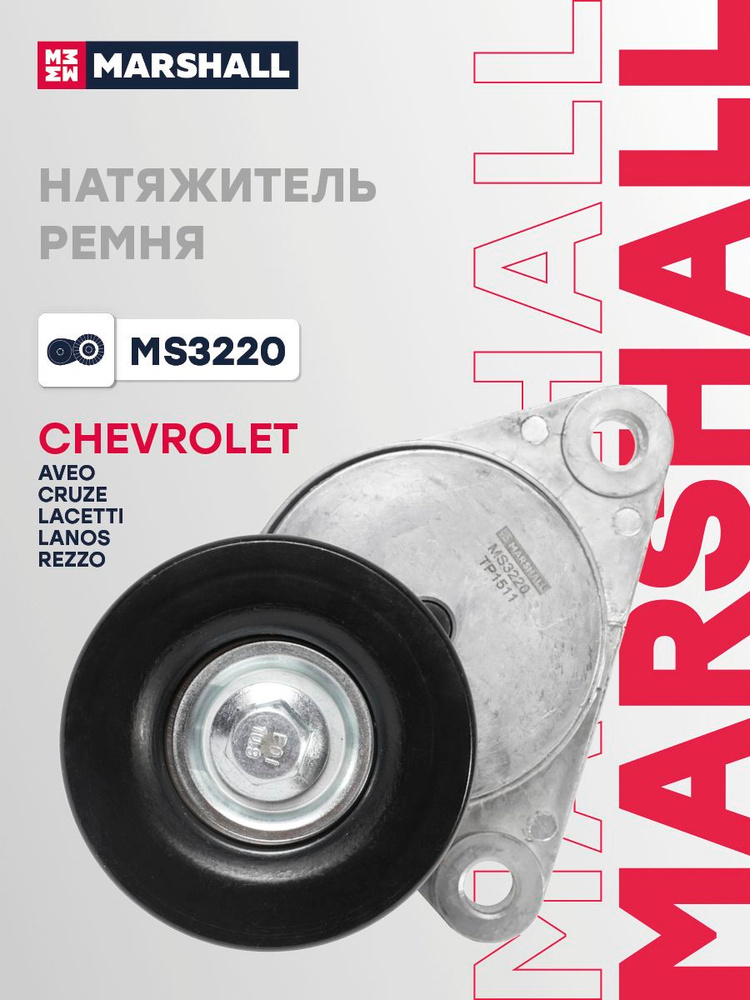 Натяжитель ремня генератора, Шевроле Авео 1 T200/T250/T255, Круз 1, Лачетти 1, Ланос 1, Реззо 1 Дэу KALOS #1