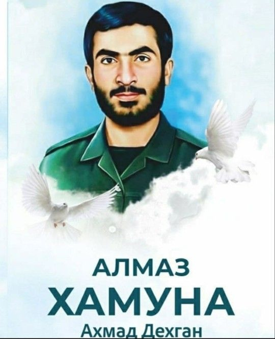 алмаз хамуна #1
